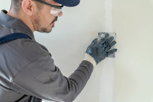 Best Black Mold Removal  in Valdosta, GA