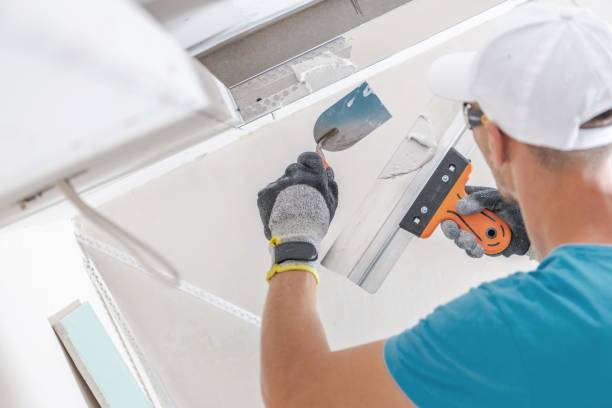  Valdosta, GA Mold Removal Pros